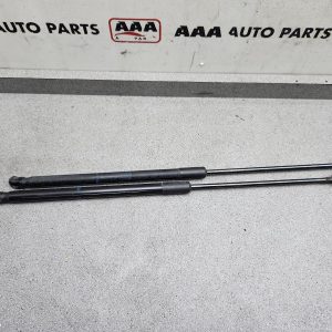 Bootlid/Tgate Hinge AUDI A3 2013 (00001902)